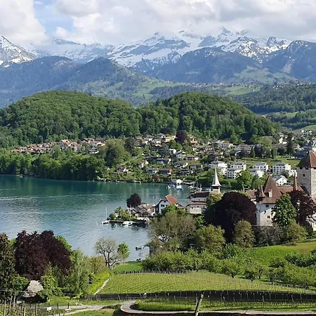 Stockhorn Near The And Mountains * Spiez