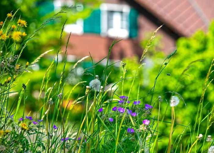Apartmán Stockhorn In See- Und Bergnaehe, Modern, Mit Balkon, 4 Gaeste Spiez