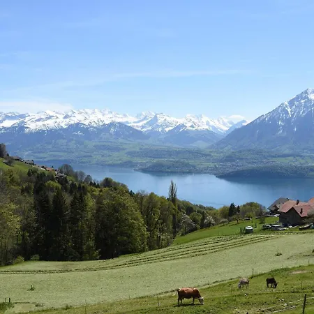 公寓 Stockhorn Near The And Mountains